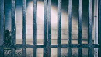 Prison Reform / Paranormal Paradigm