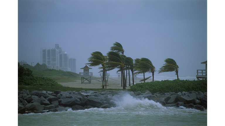 Hurricane Along Coastline