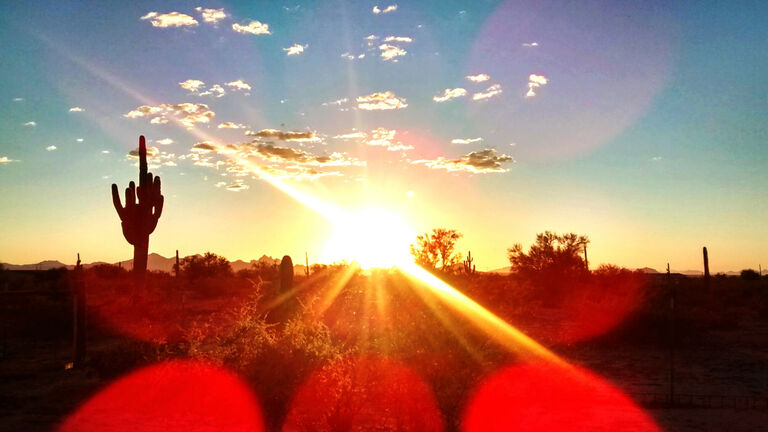 Sunlight Falling On Field During Sunset