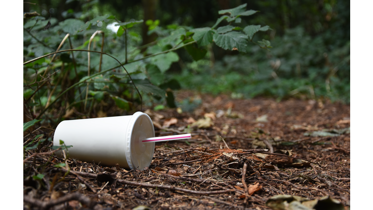 Discarded drink container lies at the edge of a forest track