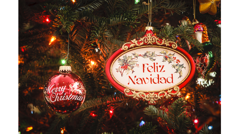 Decorated tree with Feliz Navidad and Merry Christmas ornaments