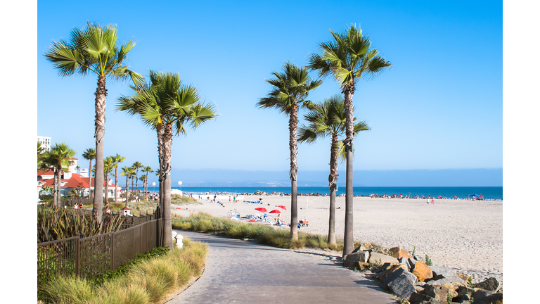 Beach and Palm Trees in San Diego, California Coast, USA