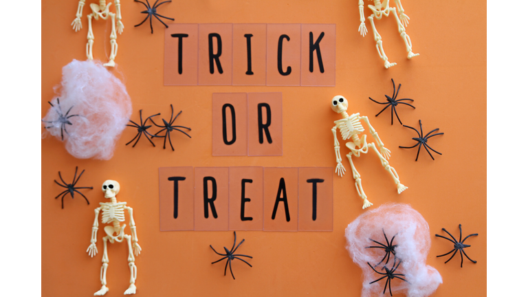 Trick or Treat message with spiders and human skeletons. Halloween Concept