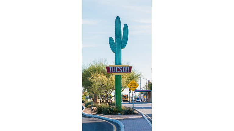 Tucson Sign Saguaro Arizona