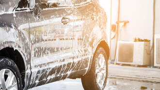 Shock Collar Question - April 27