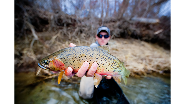 Cutthroat Trout Flyfishing