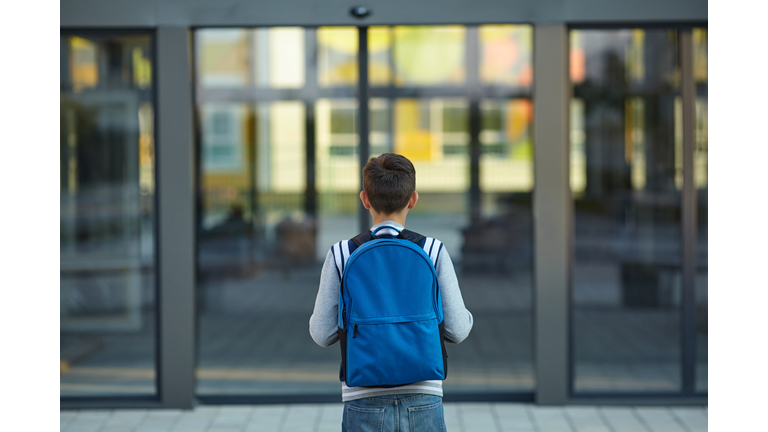 Schoolboy stands in front of the school door