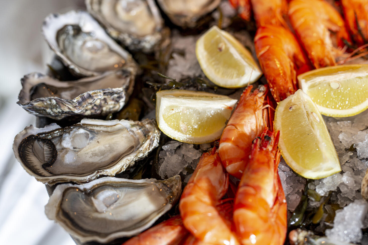 Close up of fresh seafood on ice plate