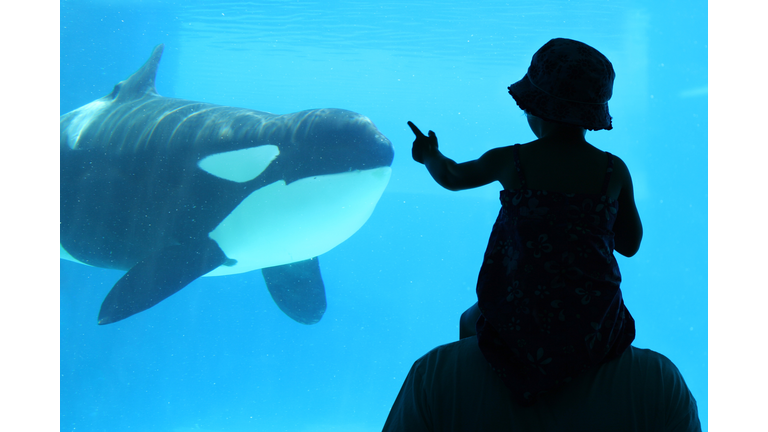 Child with Dad at aquarium