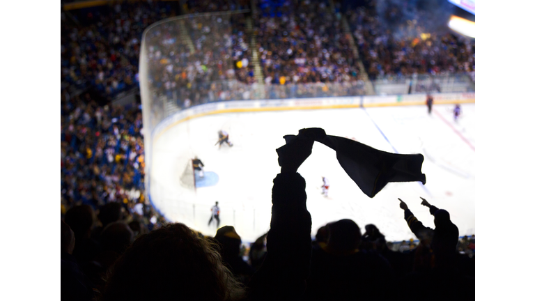 Cheering a goal at Ice hockey.