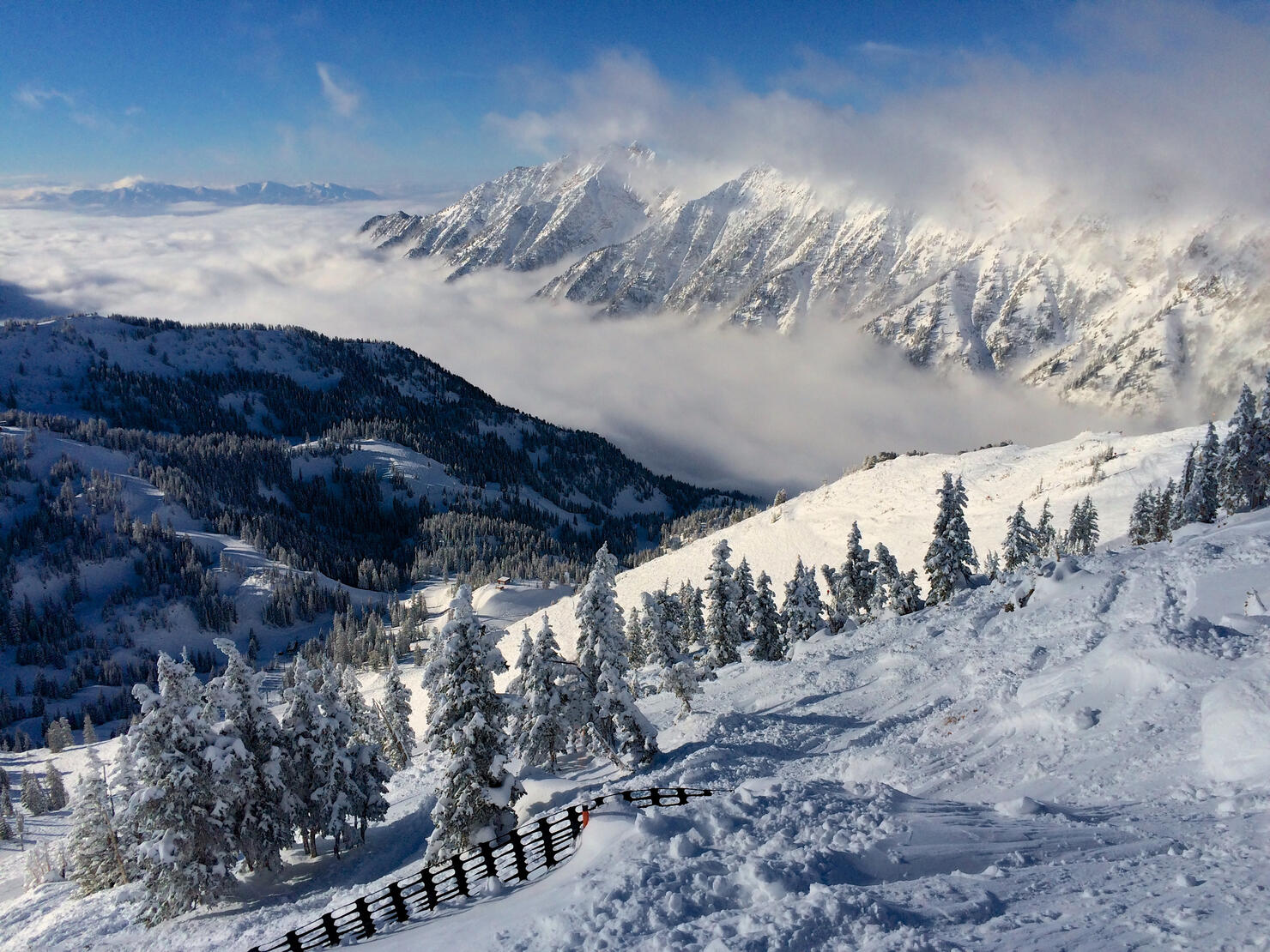 Powder ski, Snowbird, UT