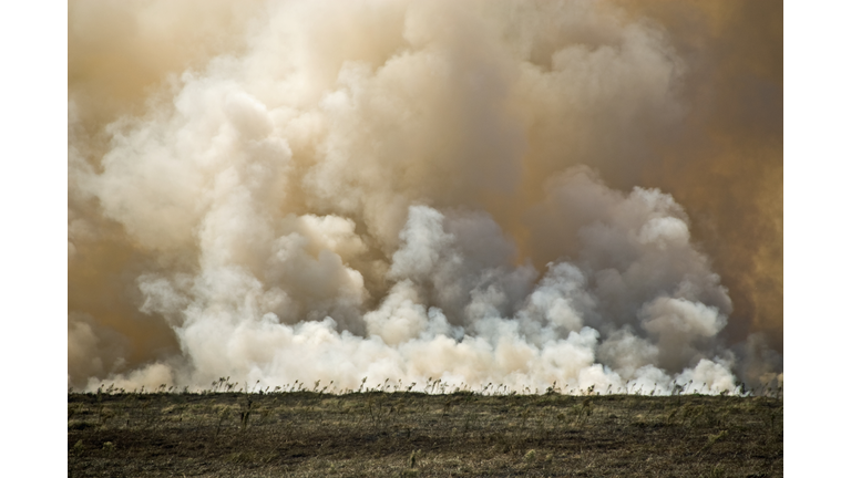 Fire on the Range