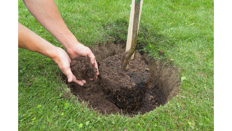 Garden hole digging