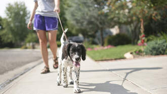 24% of women say life would be better if they had an extra hour for THIS