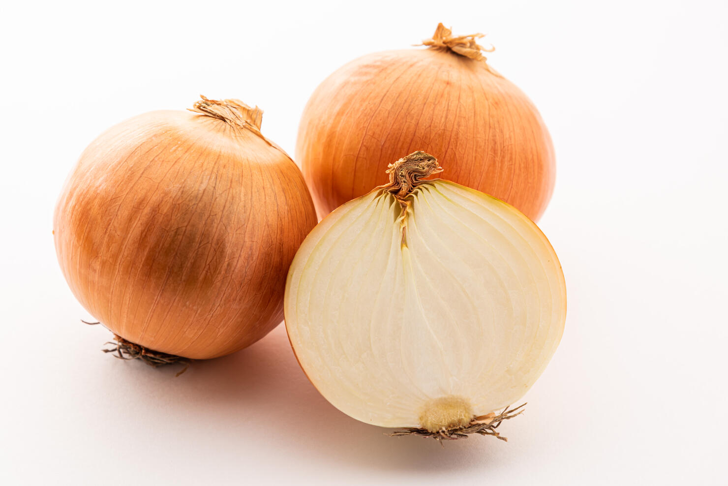 fresh onion