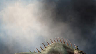 Your Daily Dog Video... so strange...