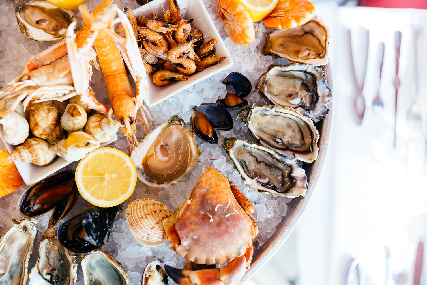 Directly above view of seafood platter