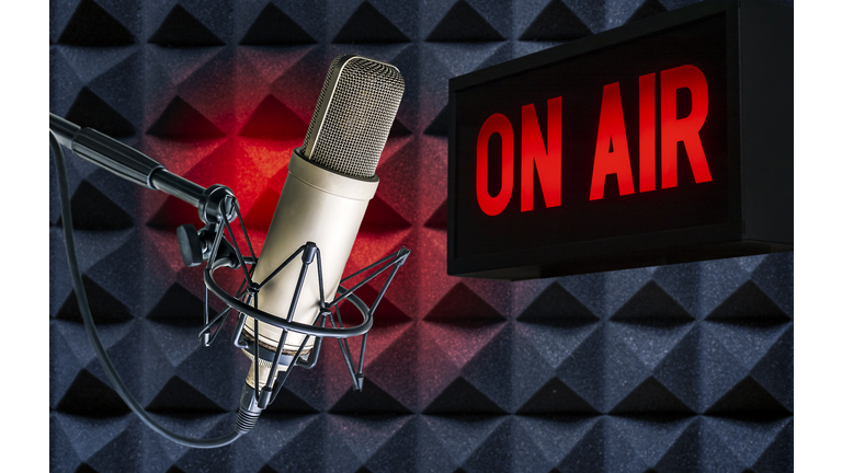 Professional microphone
