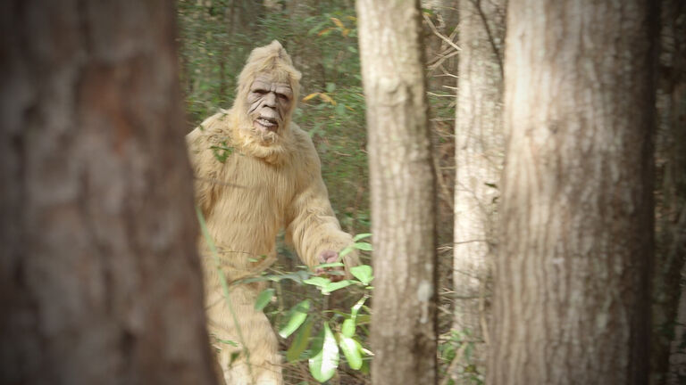 Bigfoot Encounters