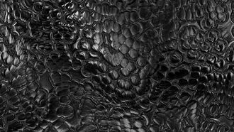 Cryptid Encounters / Open Lines