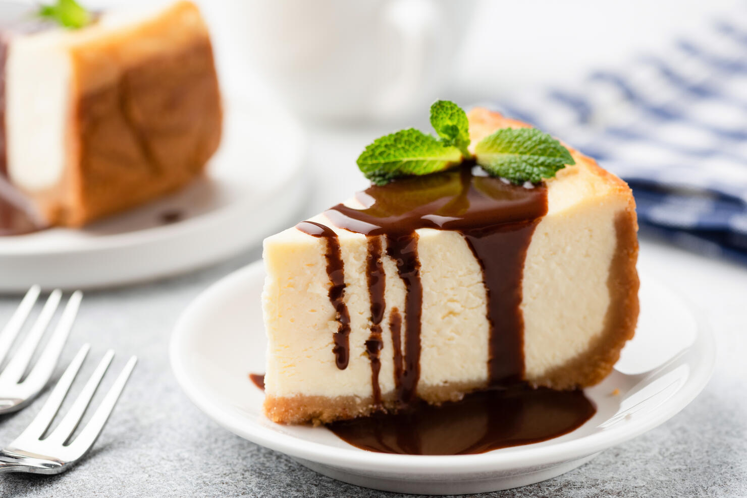 Cheesecake with chocolate sauce on plate