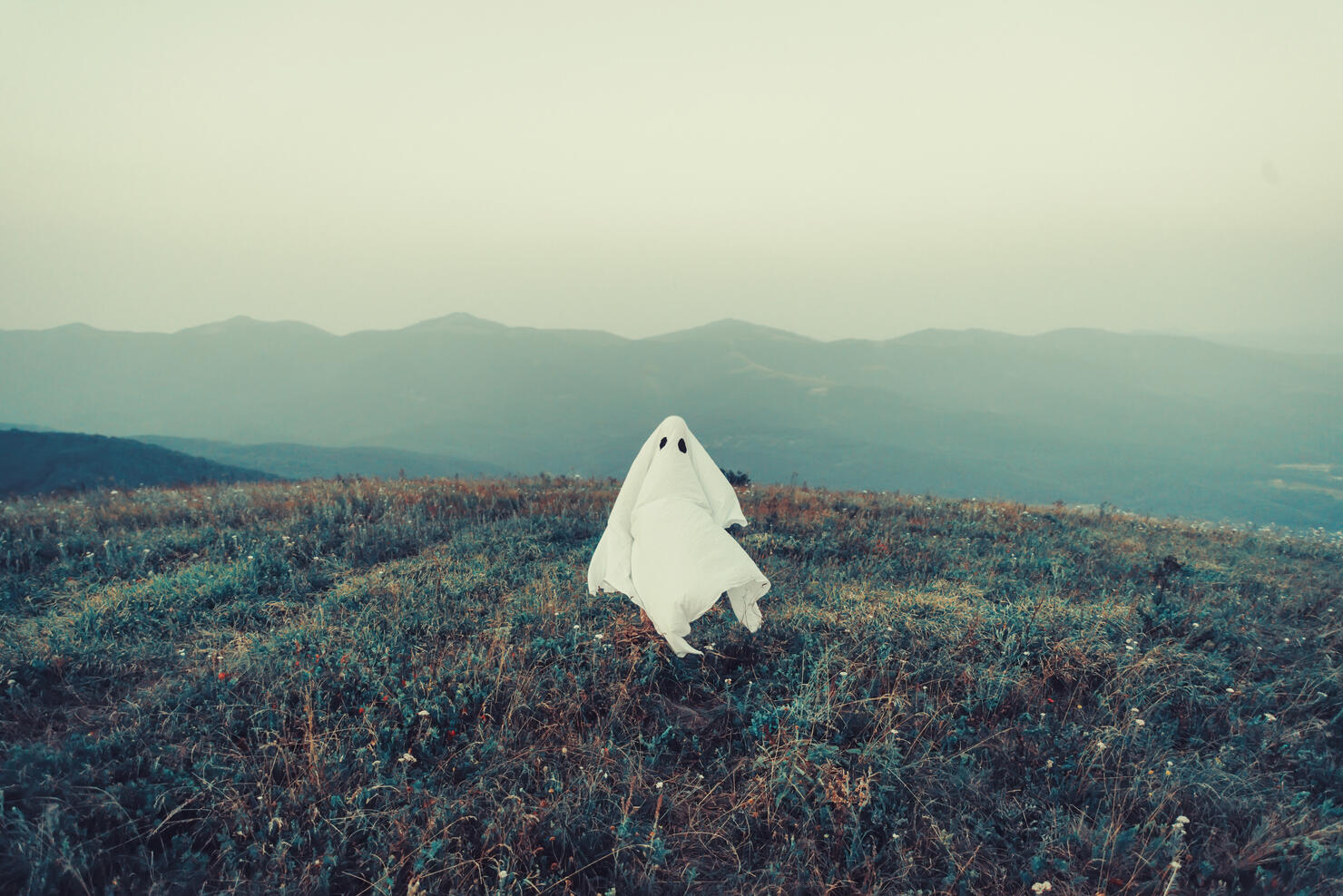 Ghost walking on meadow