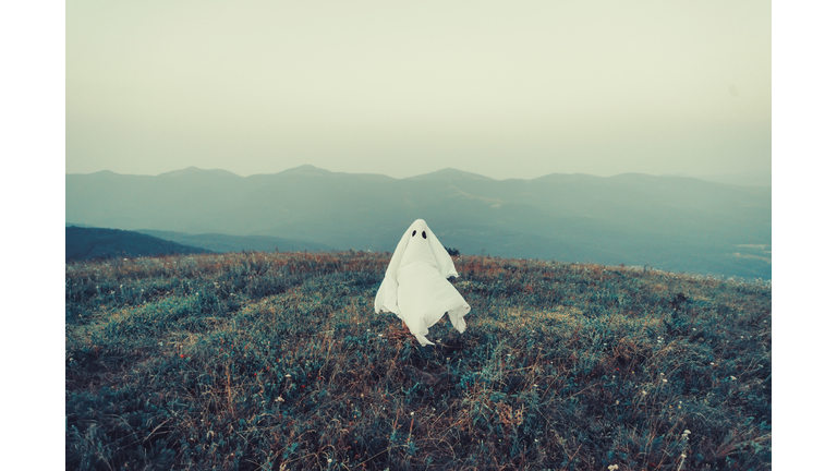 Ghost walking on meadow