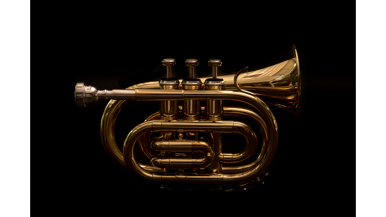 Classical cornet instrument isolated from a black background.