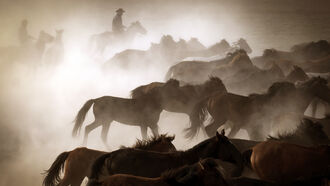 Mutilations, UFOs, NDAA, & GMO Foods