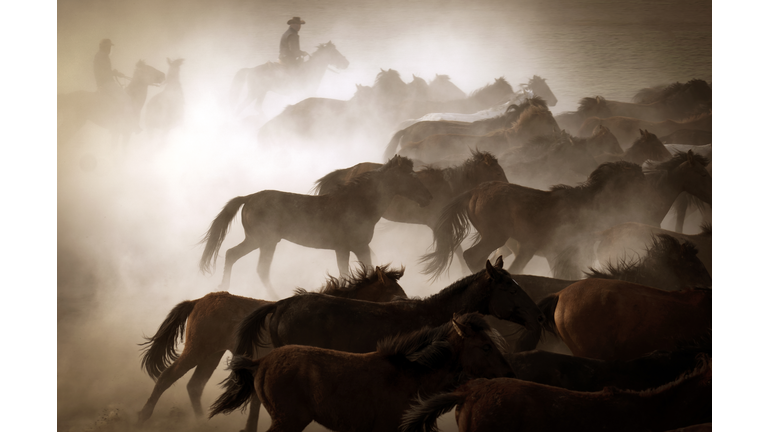 Mutilations, UFOs, NDAA, & GMO Foods