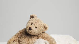 Happy National American Teddy Bear Day!