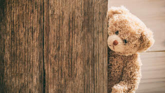 Giant Teddy Bear Helps Police Arrest a Suspect