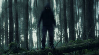 Night Terrors & Caller Regrets