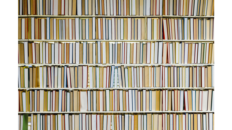 Books in bookshelf