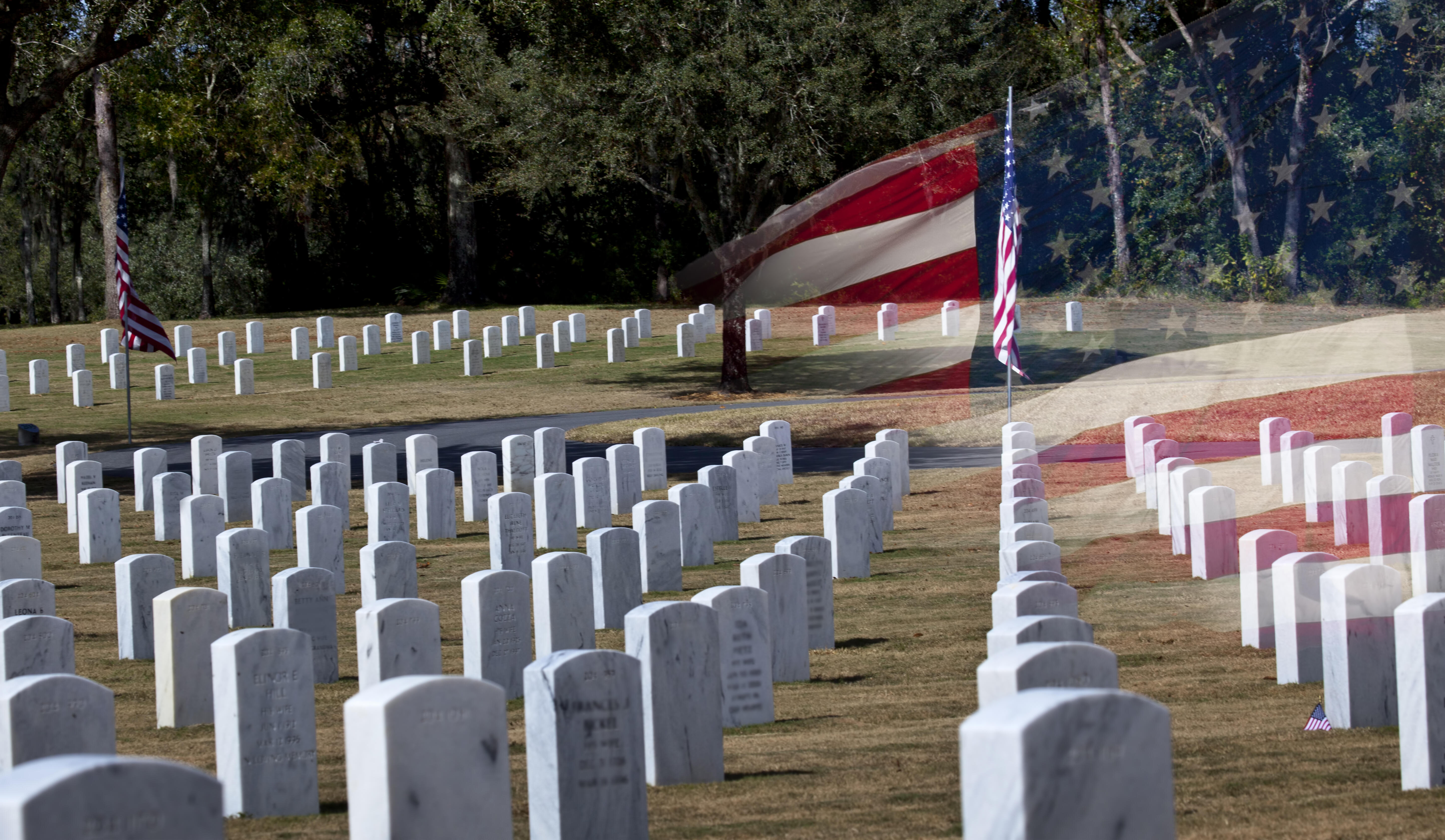 Día de los veteranos Homenaje a los veteranos de guerra de Estados