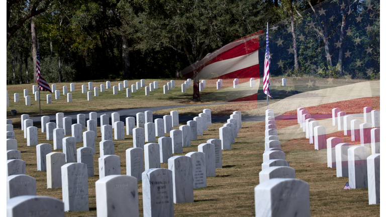 Veterans Cemetery on Veterans Day