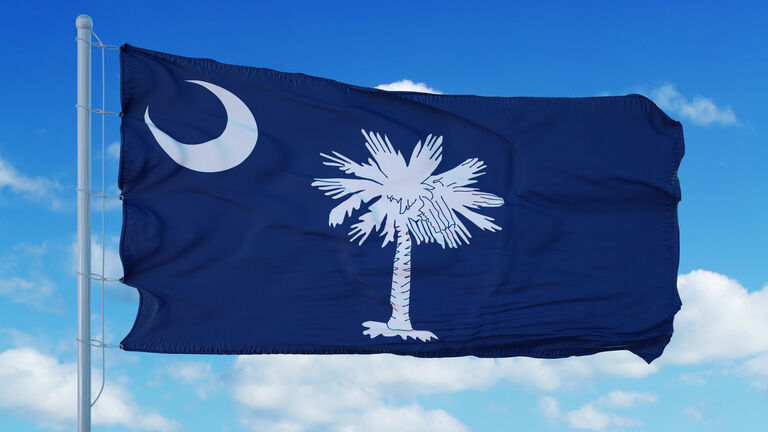 South Carolina flag on a flagpole waving in the wind, blue sky background. 3d rendering