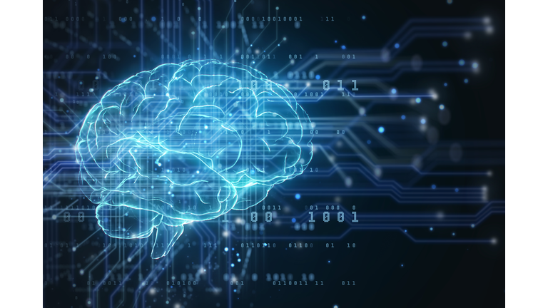Circuitry of the AI Brain