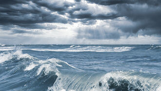 Predictions & Spells