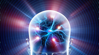 Rewiring the Brain / Anomalous Phenomena