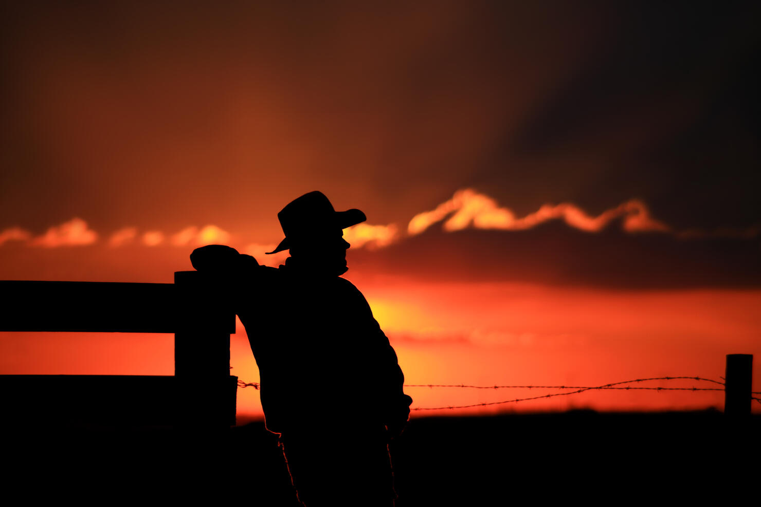Silhouette of Cowboy Leaning Against Wooden Post at Corral