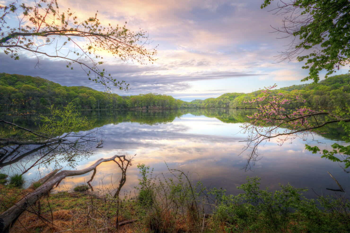 Spring at Radnor lake