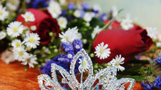 Shock Collar Question (11/10/25)