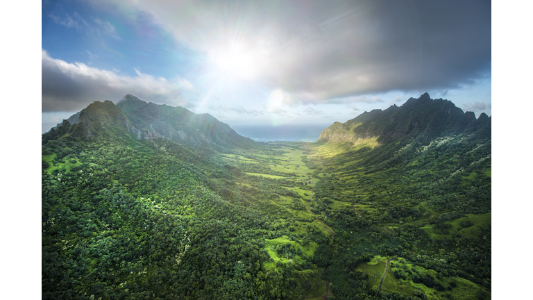 Aerial of Tropical rainforest, Hawaii