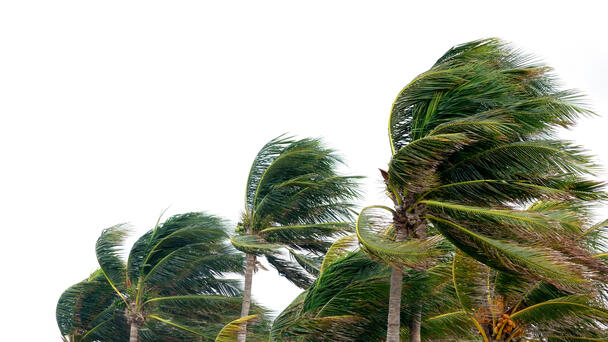 Tropical Storm Watches Issued As Tropical Depression Nine Strengthens