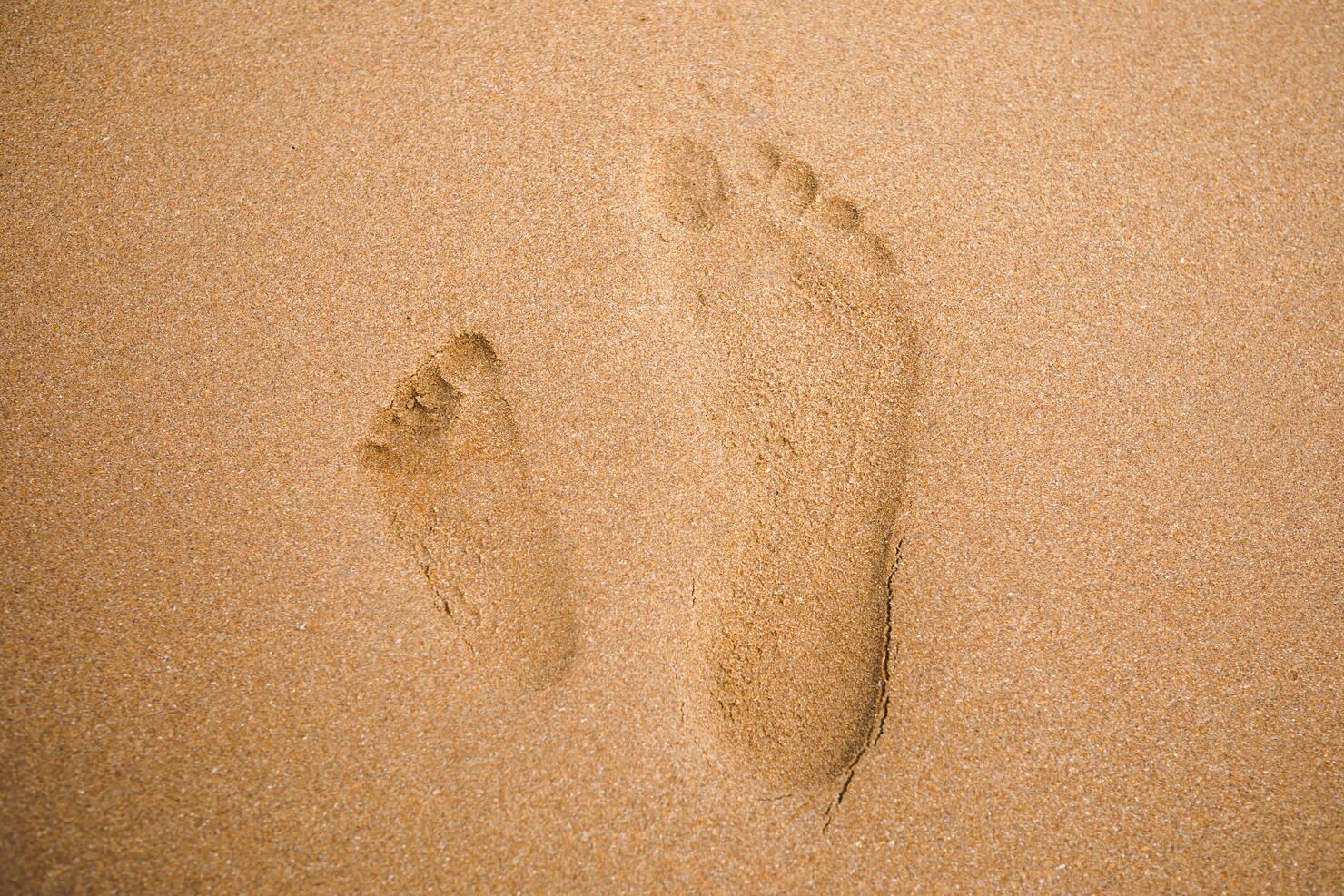 child and adult footprints on sand beach