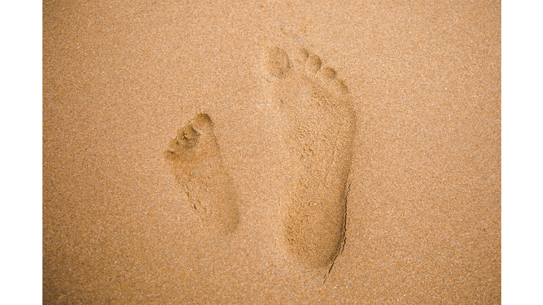 child and adult footprints on sand beach