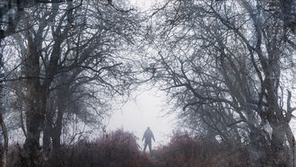 Preparedness & Human Trafficking