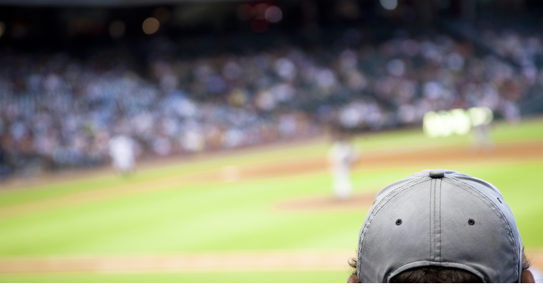 Sports: Professional baseball sports stadium. Fan foreground.