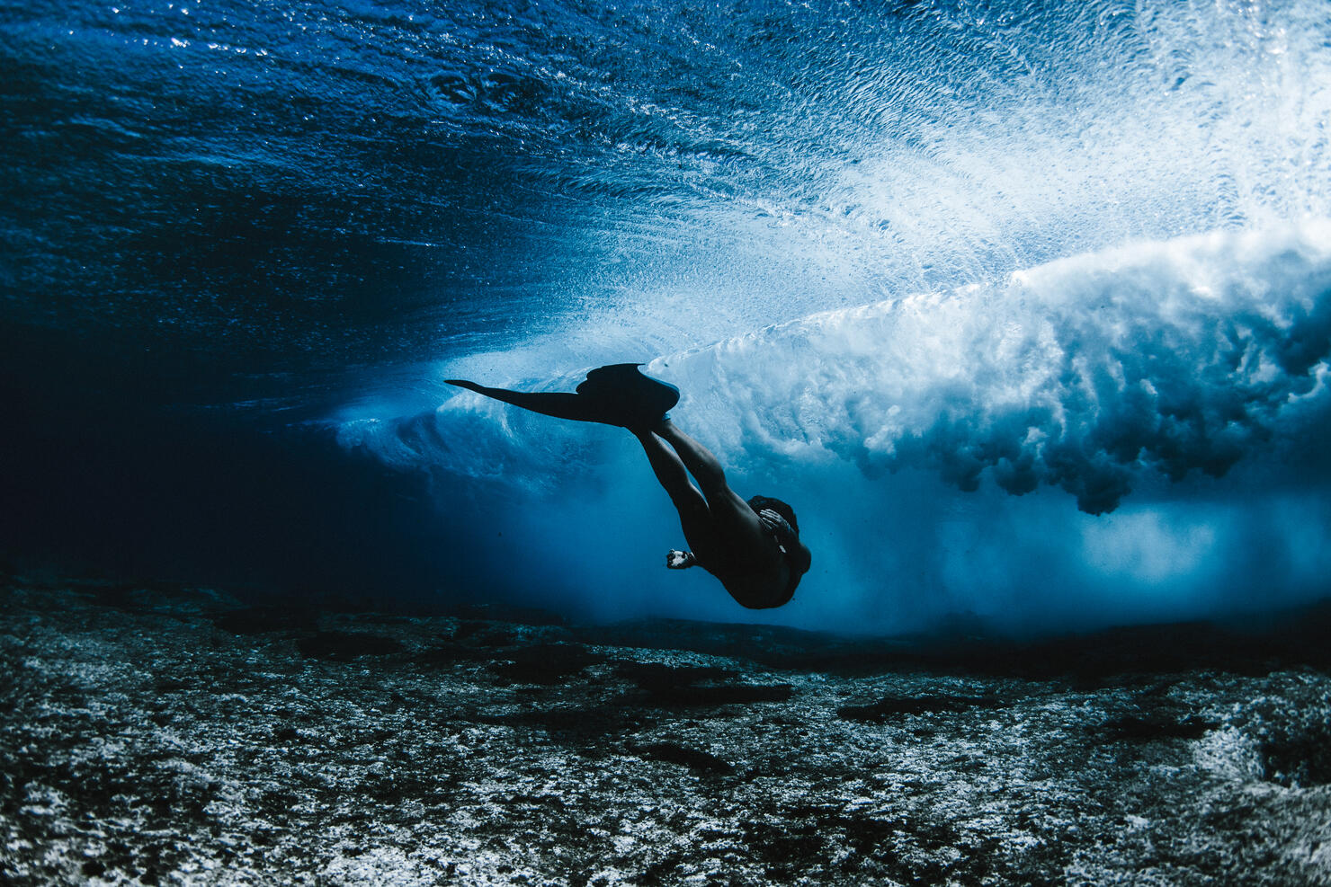 Woman wearing mermaid flippers swimming underwater, Hawaii, America, USA